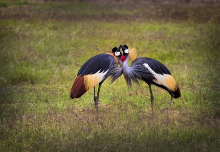 Predavanje - Žiri06